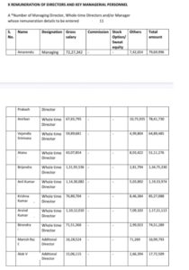 SAIL board member payment