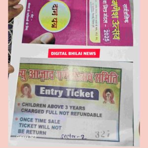 Bhilai ganesh pandal